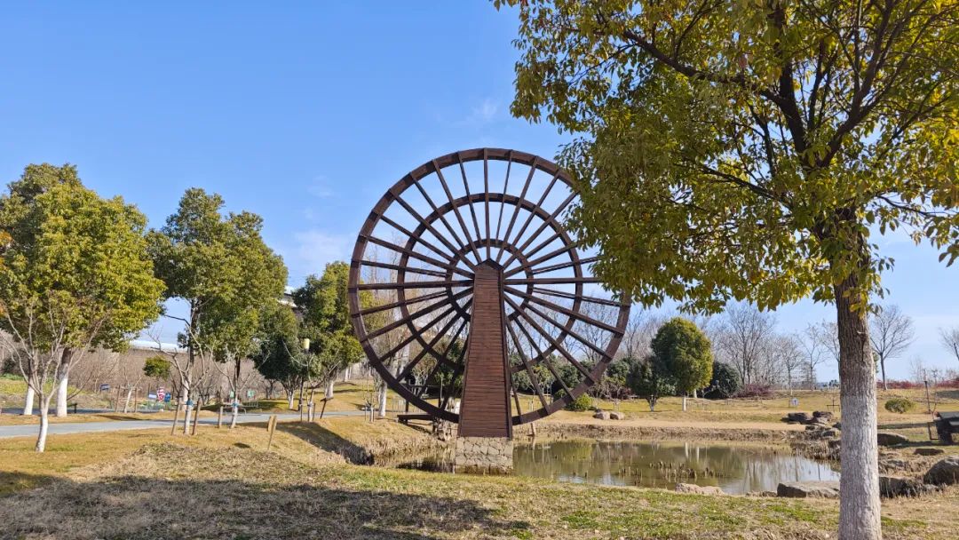 1738824034321831.jpg 10.jpg