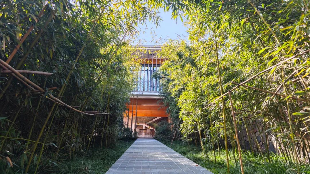 1738824040681790.jpg 11.jpg