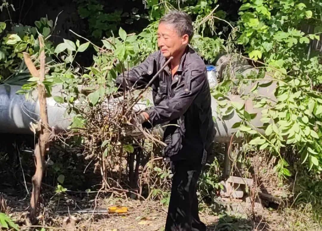 1756452130891322.jpg 5.jpg