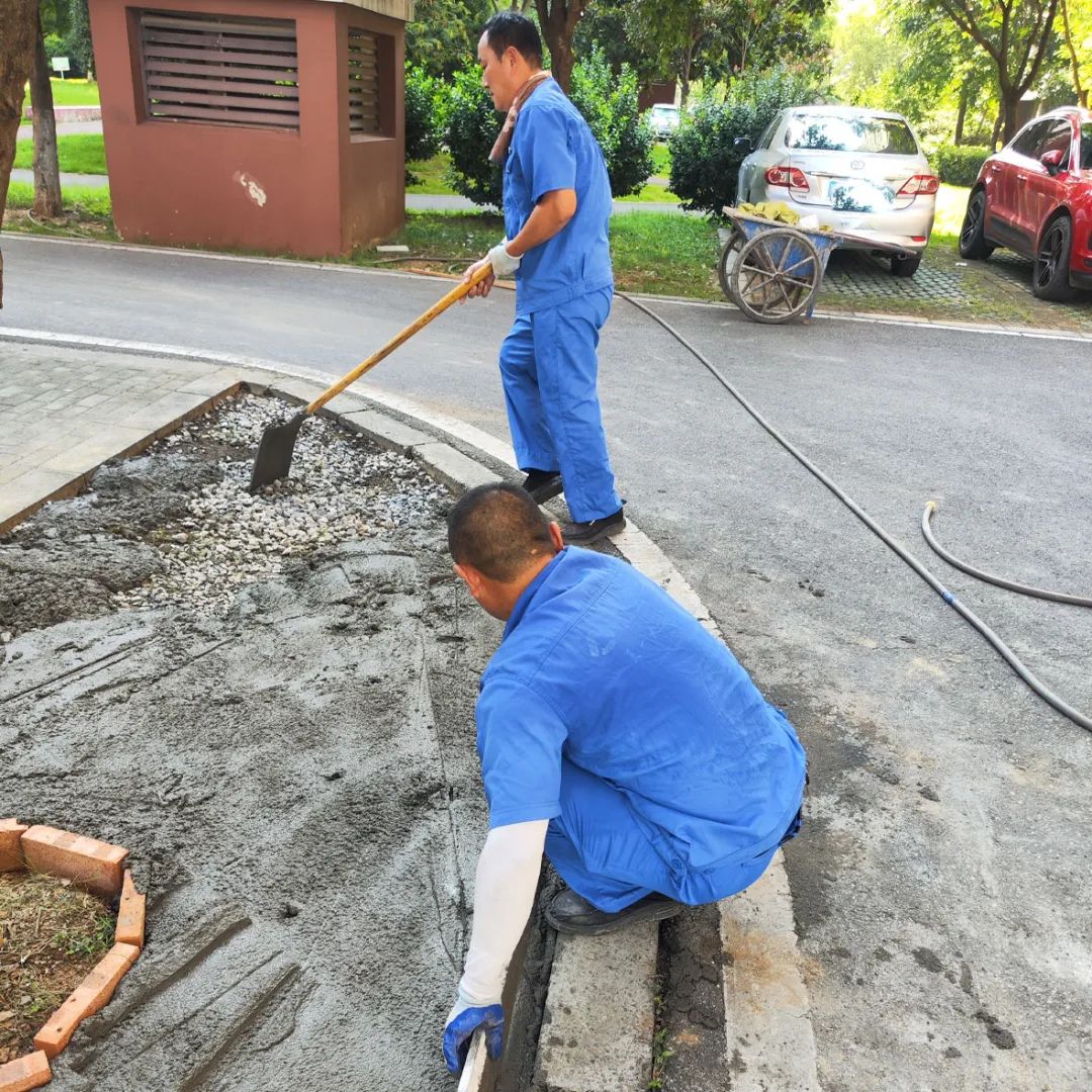 1756452213451210.jpg 12.jpg