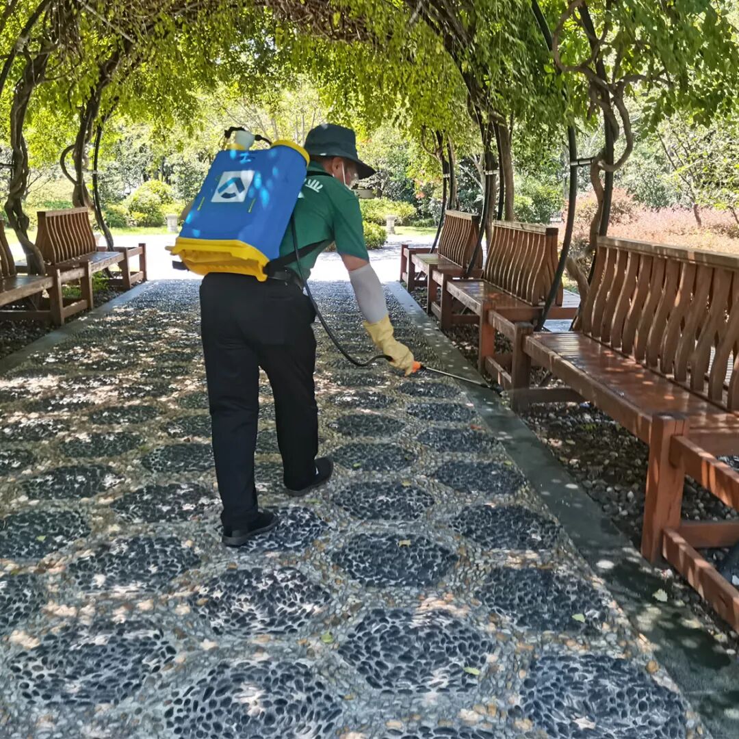 1757228588353484.jpg 10.jpg