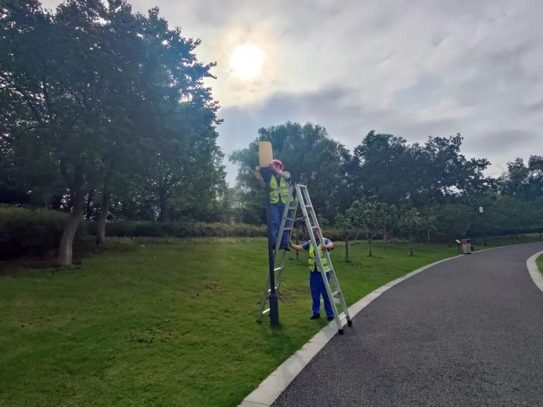 1759222683557535.jpg 5.jpg