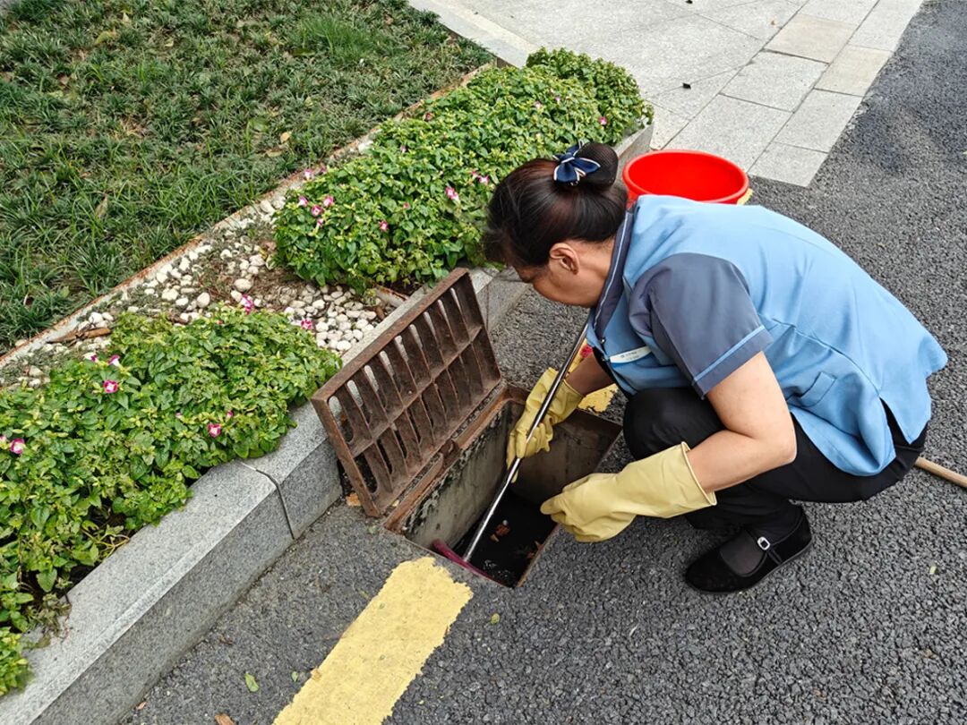 1759222753403281.jpg 15.jpg